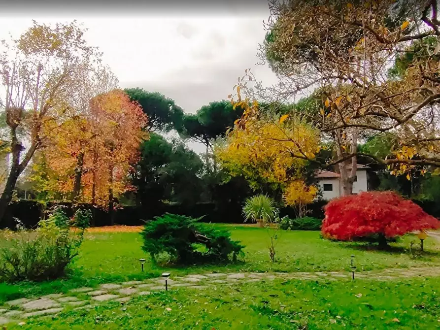 Immagine 7 di Villa in vendita  a Massa