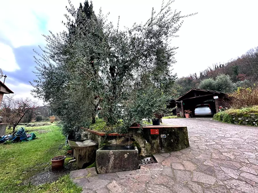 Immagine 23 di Rustico / casale in vendita  a Montecatini Terme