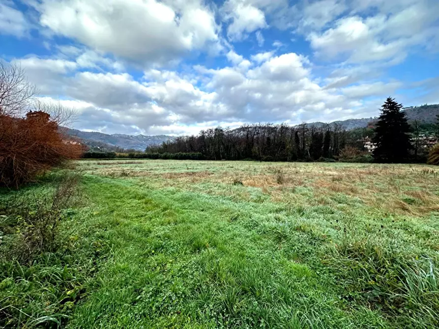 Immagine 30 di Rustico / casale in vendita  a Montecatini Terme