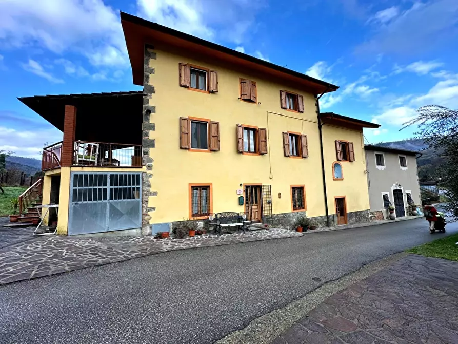 Immagine 2 di Rustico / casale in vendita  a Montecatini Terme