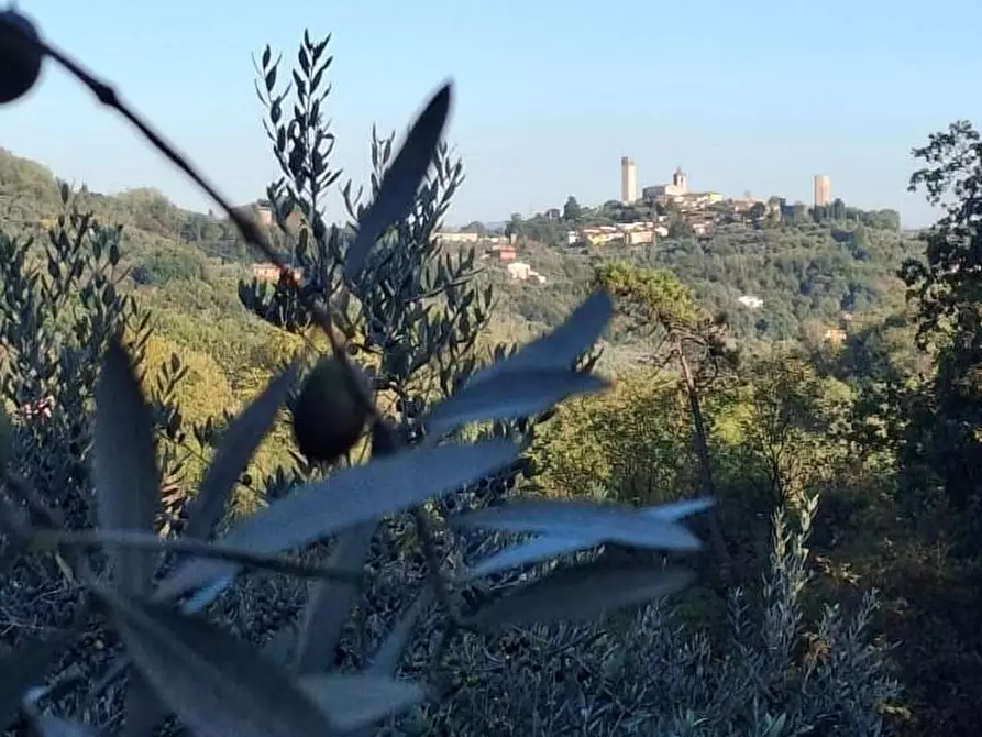 Immagine 29 di Rustico / casale in vendita  a Montecatini Terme
