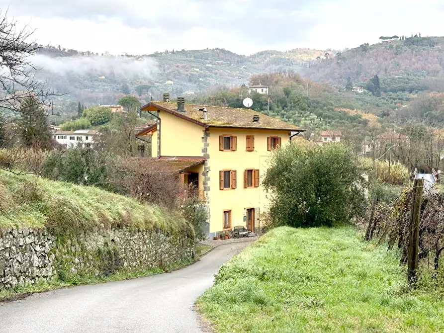 Immagine 32 di Rustico / casale in vendita  a Montecatini Terme