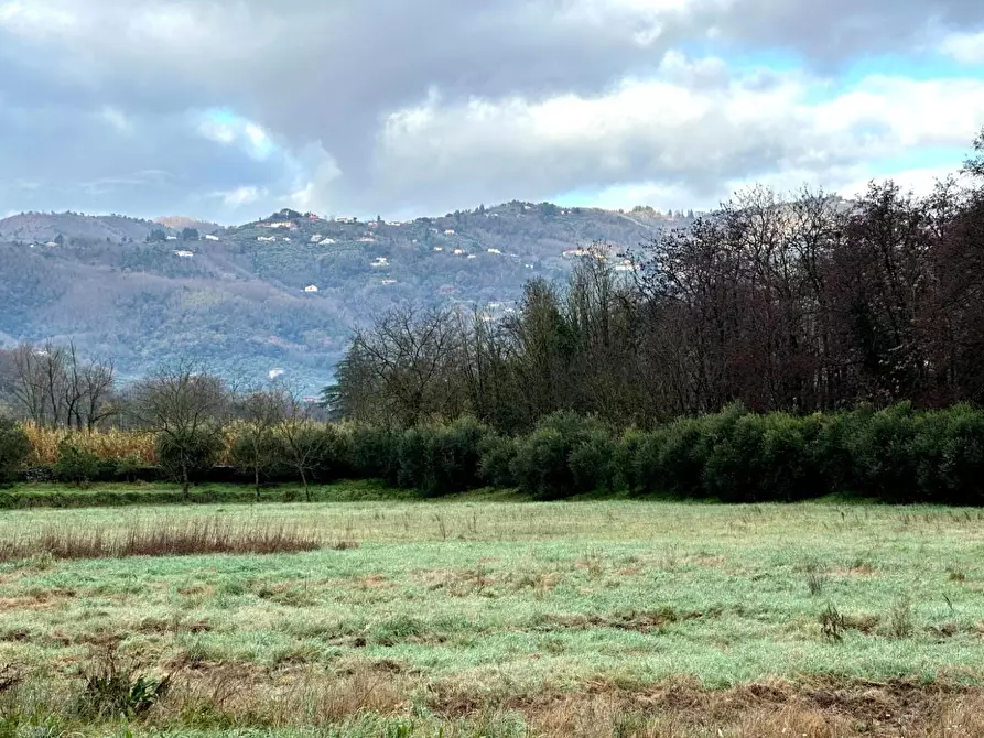 Immagine 26 di Rustico / casale in vendita  a Montecatini Terme