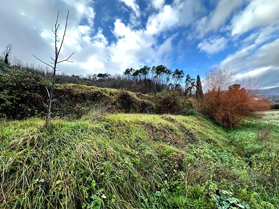 Immagine 27 di Rustico / casale in vendita  a Montecatini Terme