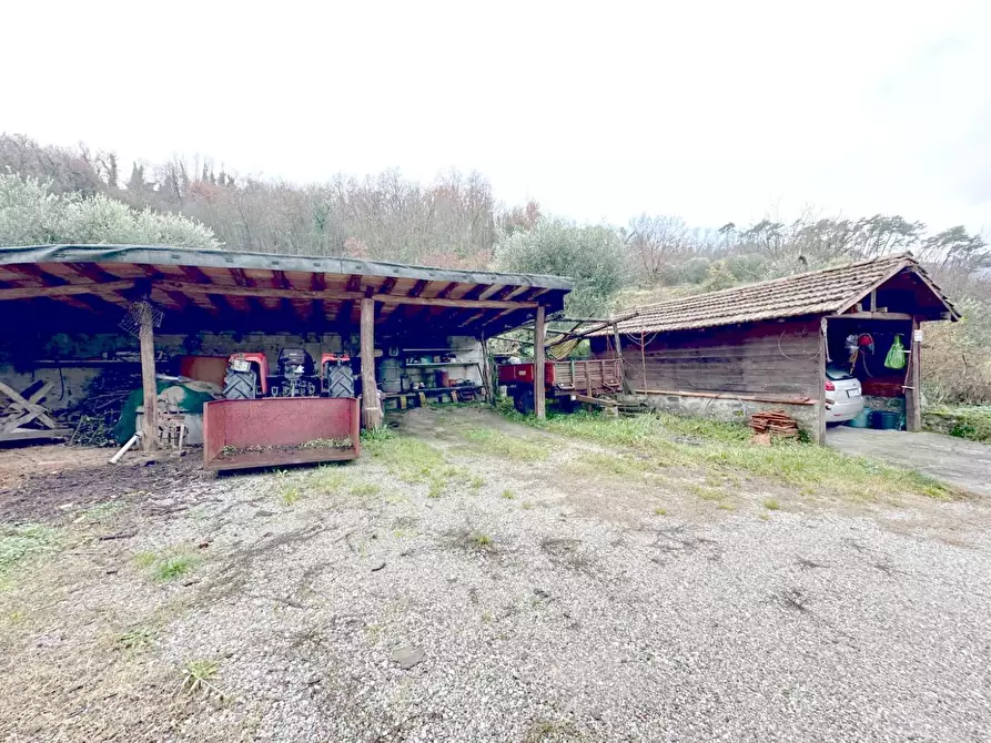 Immagine 24 di Rustico / casale in vendita  a Montecatini Terme