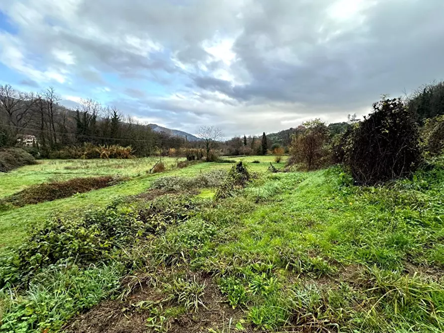 Immagine 25 di Rustico / casale in vendita  a Montecatini Terme