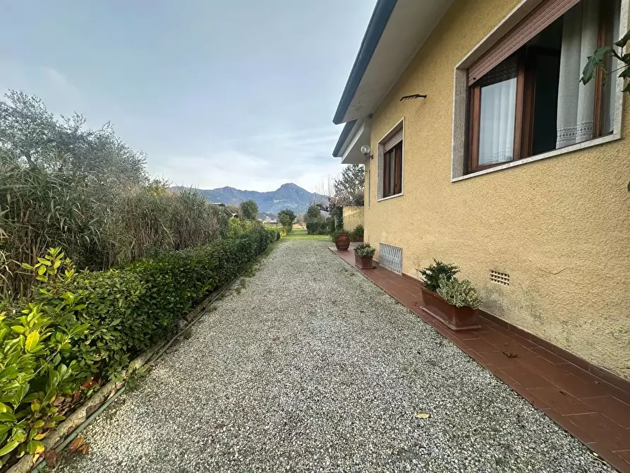 Immagine 7 di Casa bifamiliare in vendita  a Camaiore