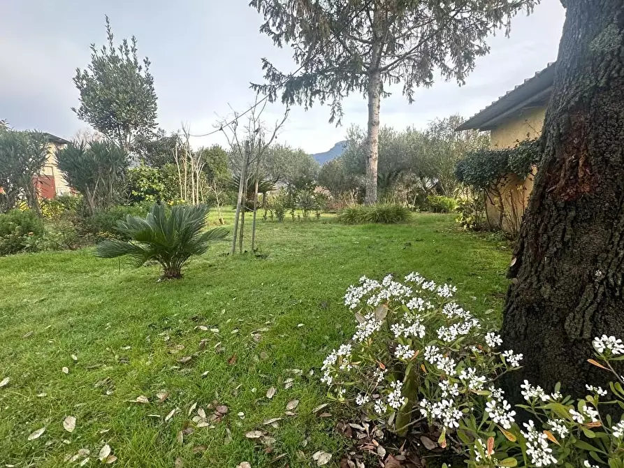 Immagine 6 di Casa bifamiliare in vendita  a Camaiore