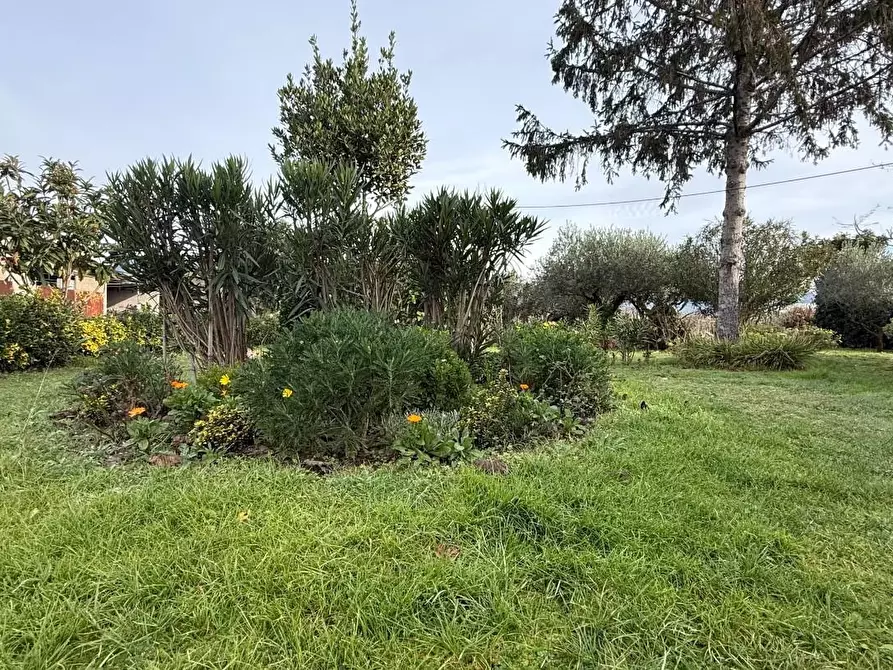 Immagine 36 di Casa bifamiliare in vendita  a Camaiore