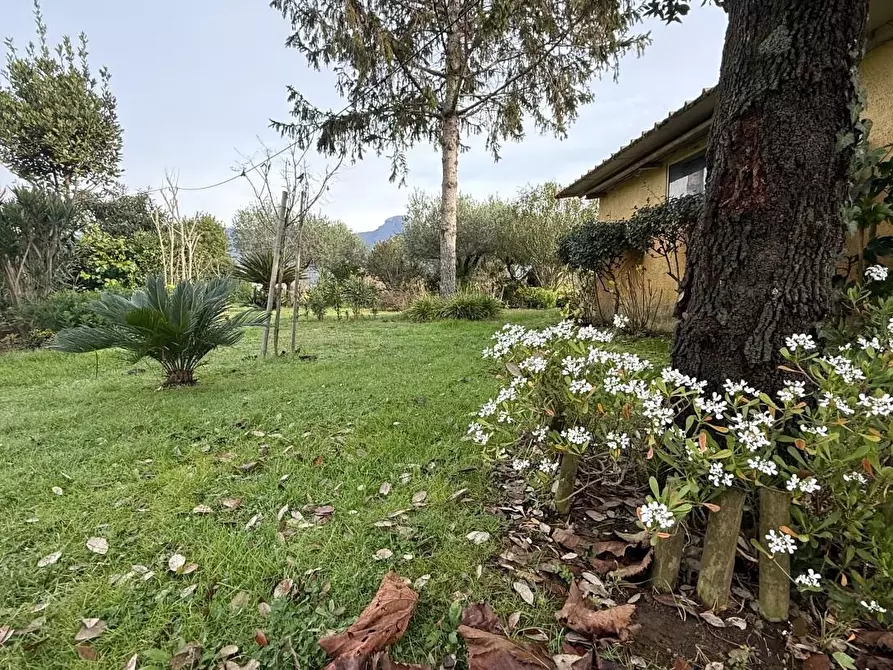 Immagine 63 di Casa bifamiliare in vendita  a Camaiore