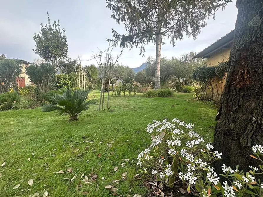 Immagine 32 di Casa bifamiliare in vendita  a Camaiore