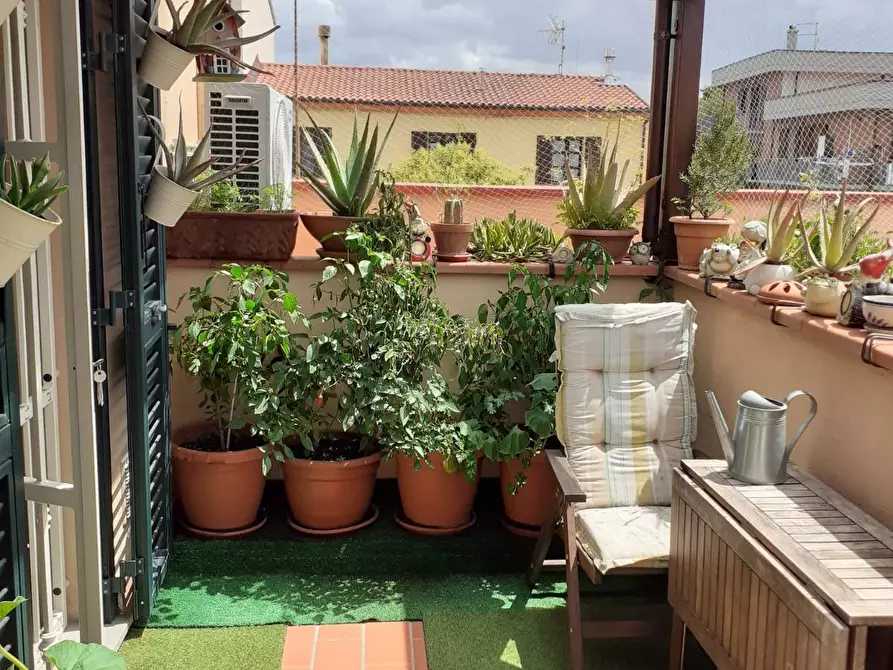 Immagine 4 di Appartamento in vendita  a Collesalvetti