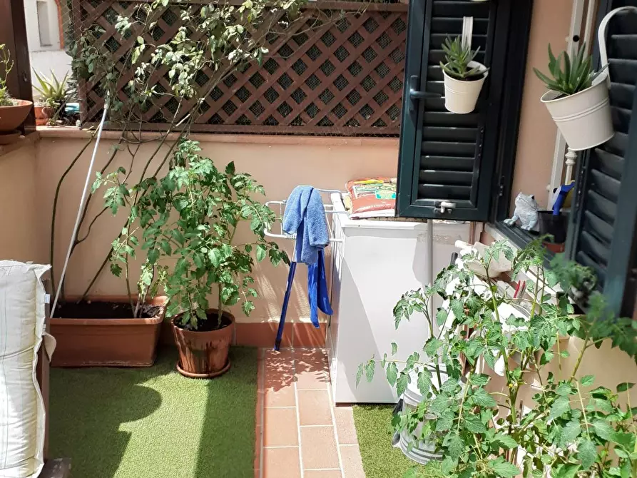 Immagine 19 di Appartamento in vendita  a Collesalvetti