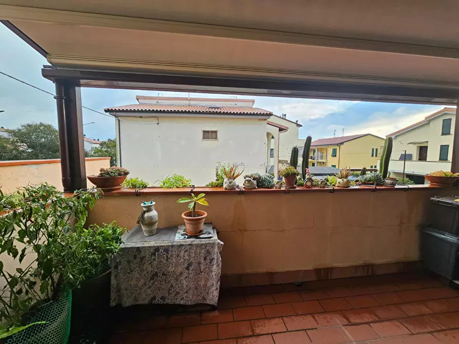 Immagine 30 di Appartamento in vendita  a Collesalvetti