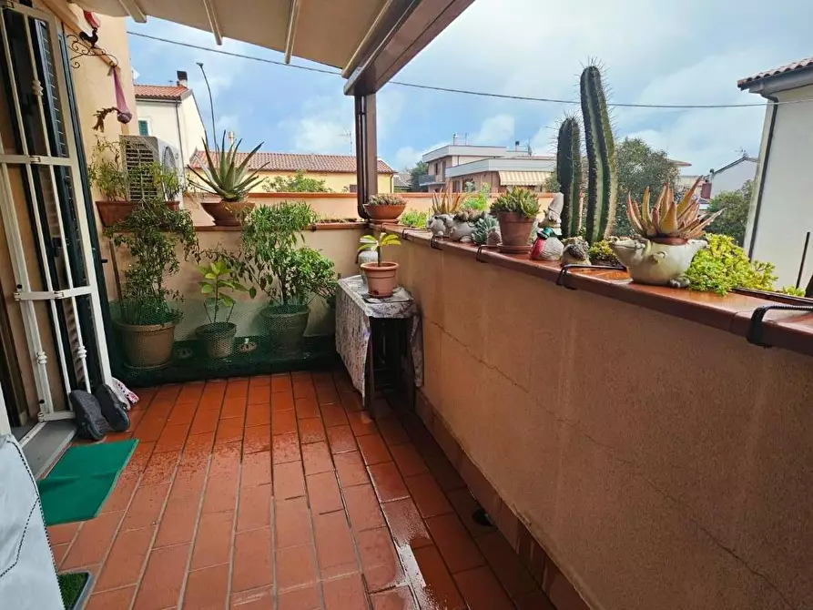 Immagine 32 di Appartamento in vendita  a Collesalvetti