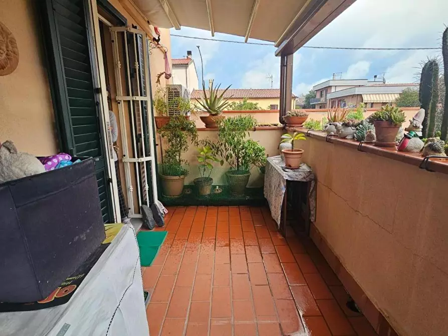 Immagine 31 di Appartamento in vendita  a Collesalvetti