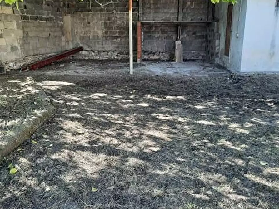 Immagine 10 di Magazzino in affitto  a Pisa