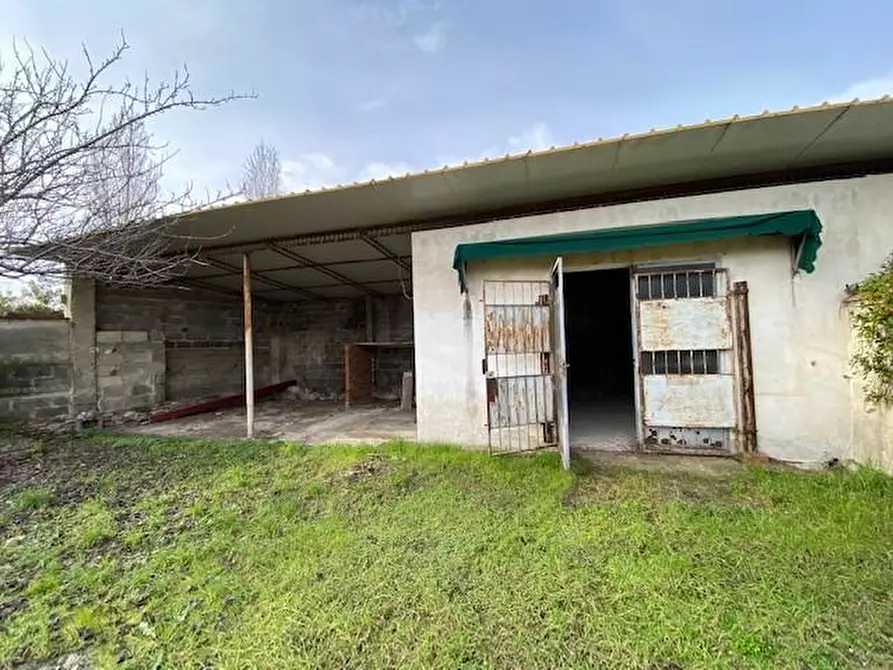 Immagine 4 di Magazzino in affitto  a Pisa