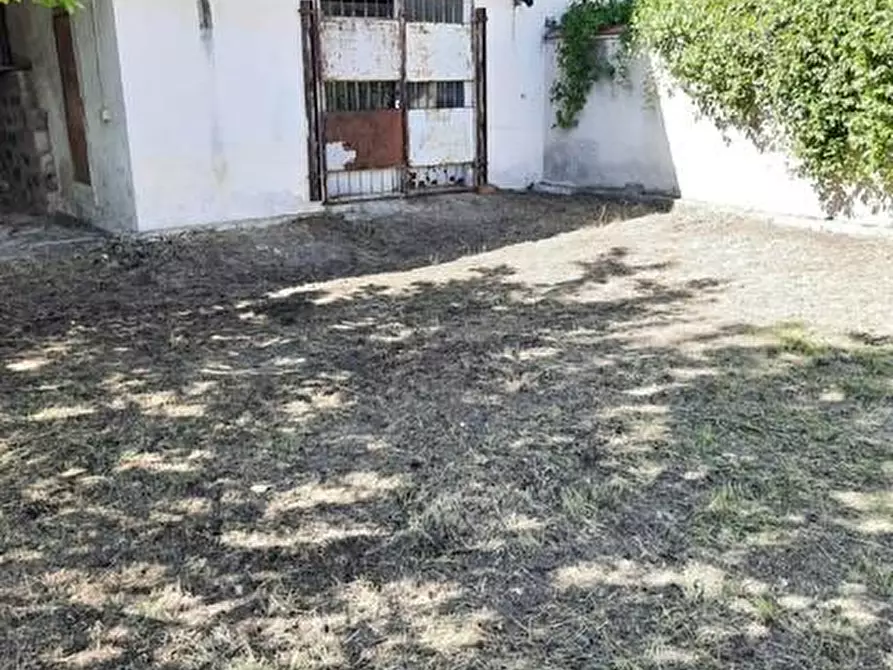 Immagine 9 di Magazzino in affitto  a Pisa