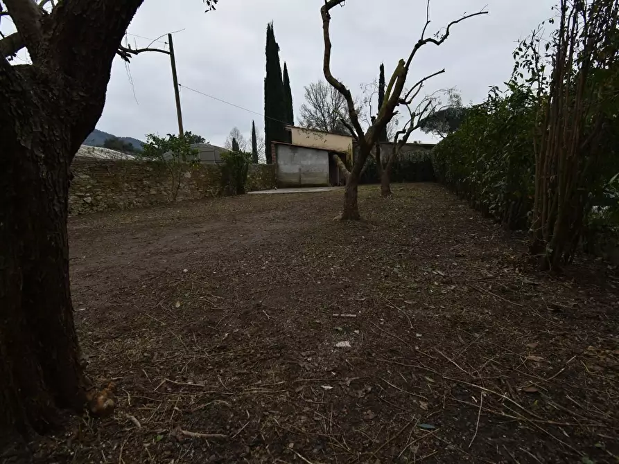 Immagine 40 di Appartamento in vendita  a San Giuliano Terme