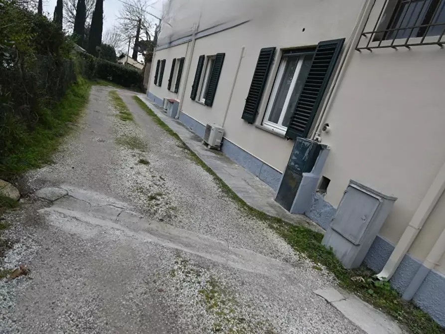 Immagine 37 di Appartamento in vendita  a San Giuliano Terme