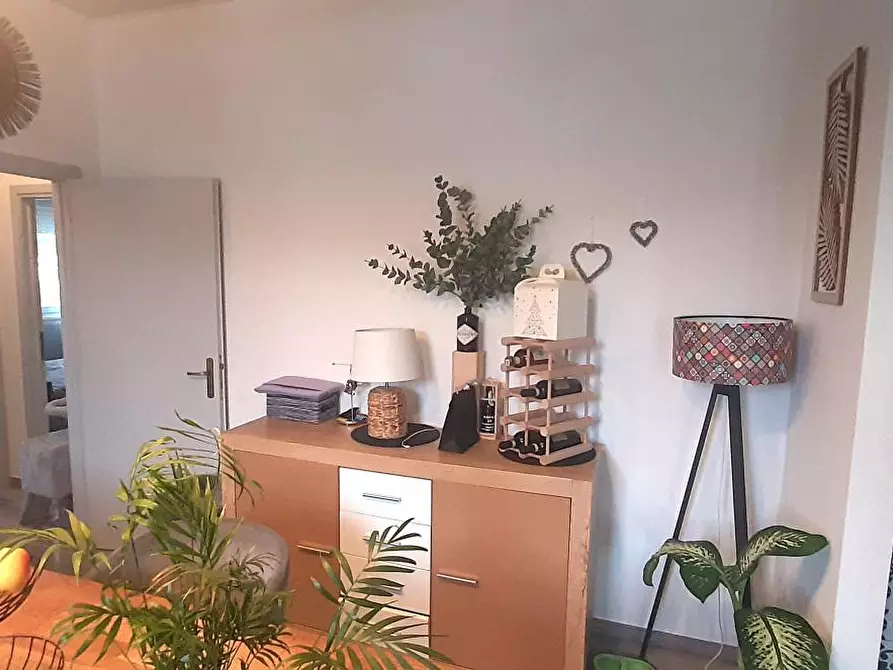Immagine 6 di Appartamento in vendita  a Rosignano Marittimo