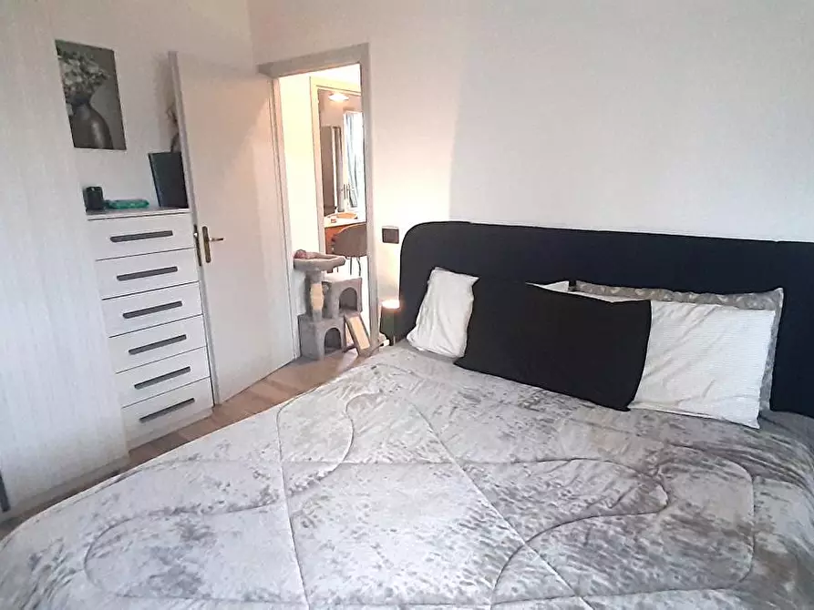Immagine 16 di Appartamento in vendita  a Rosignano Marittimo