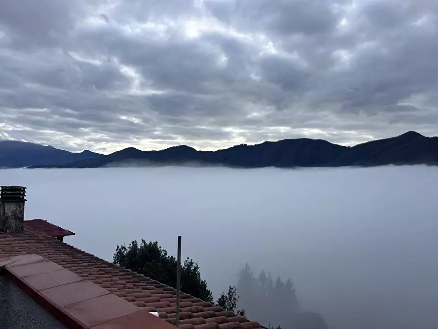 Immagine 10 di Casa semindipendente in affitto  a Aulla