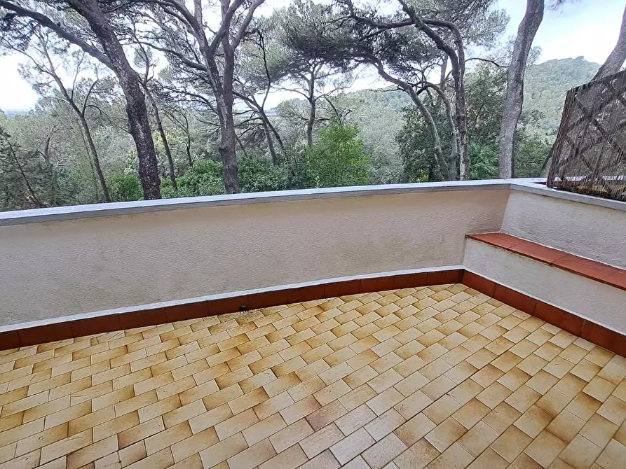 Immagine 3 di Appartamento in vendita  a Rosignano Marittimo