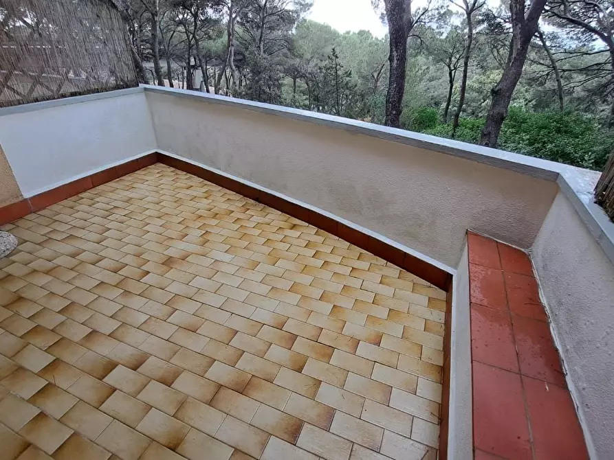 Immagine 4 di Appartamento in vendita  a Rosignano Marittimo