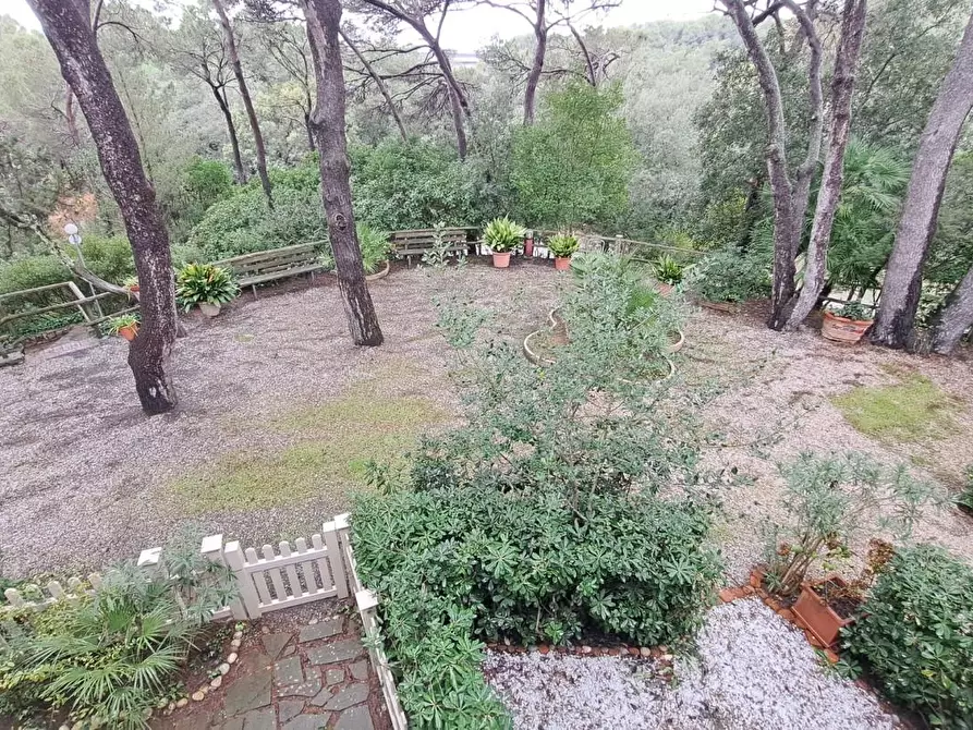 Immagine 16 di Appartamento in vendita  a Rosignano Marittimo