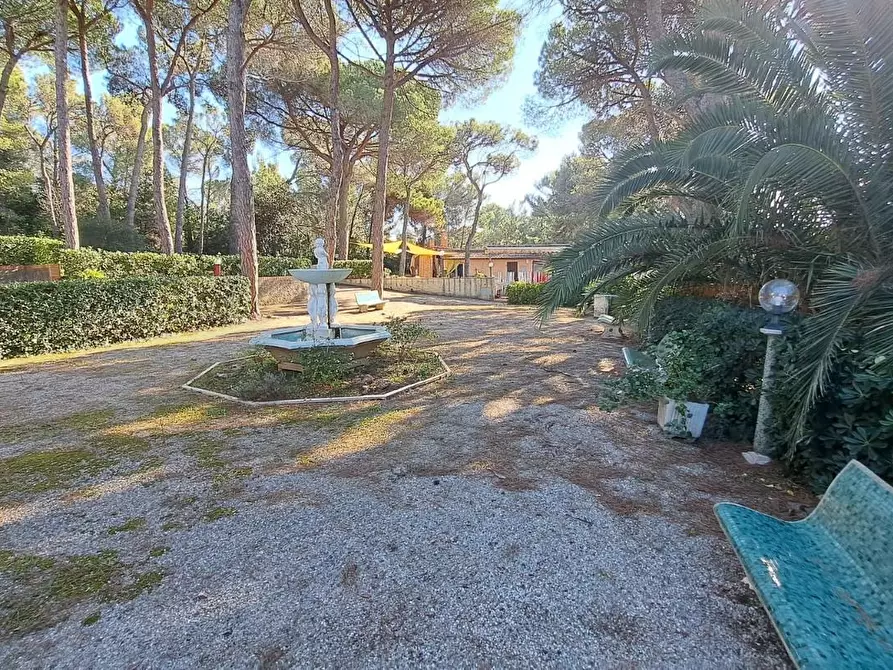 Immagine 18 di Appartamento in vendita  a Rosignano Marittimo