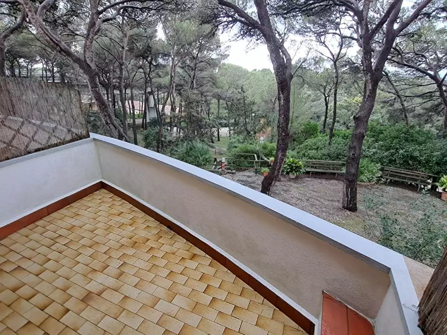 Immagine 7 di Appartamento in vendita  a Rosignano Marittimo