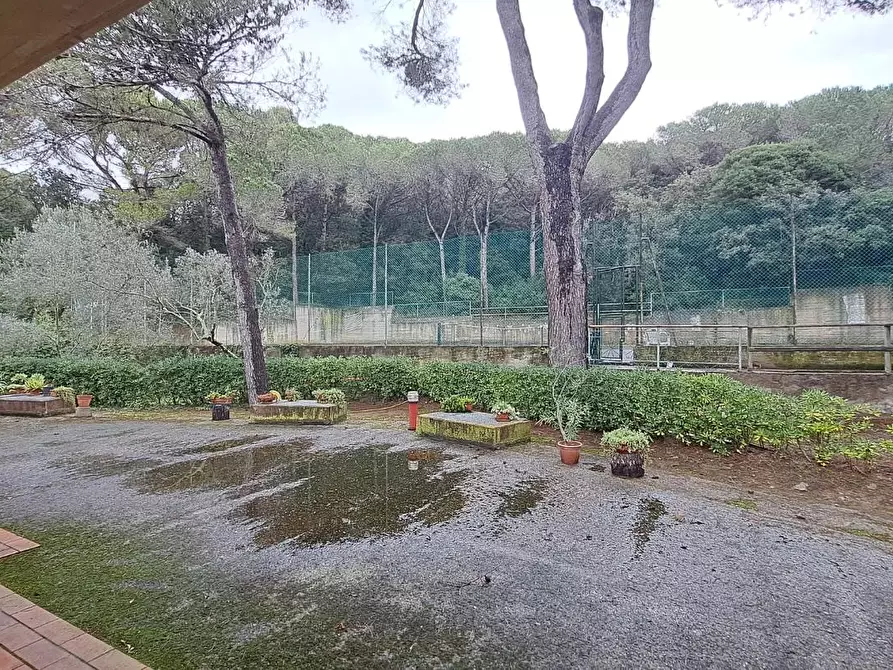 Immagine 15 di Appartamento in vendita  a Rosignano Marittimo