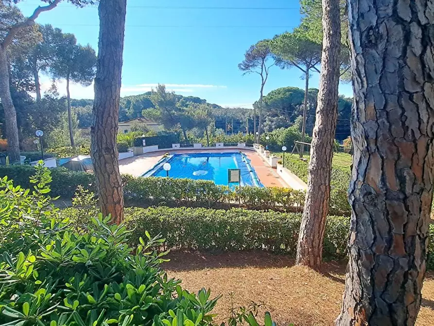 Immagine 2 di Appartamento in vendita  a Rosignano Marittimo