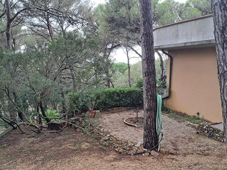 Immagine 14 di Appartamento in vendita  a Rosignano Marittimo