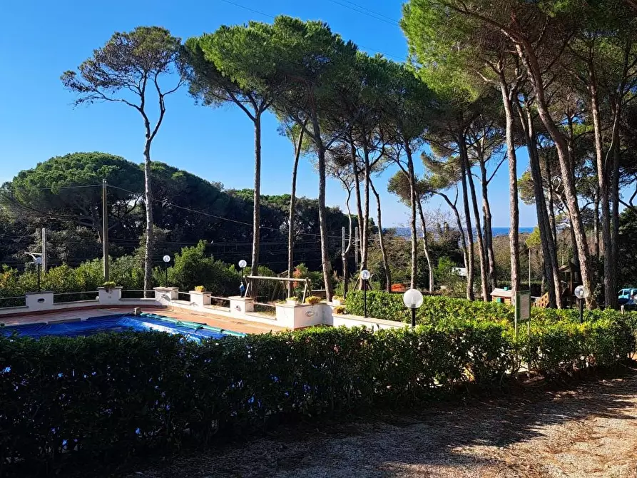 Immagine 1 di Appartamento in vendita  a Rosignano Marittimo