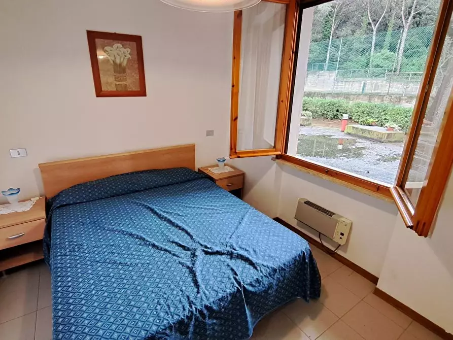 Immagine 11 di Appartamento in vendita  a Rosignano Marittimo