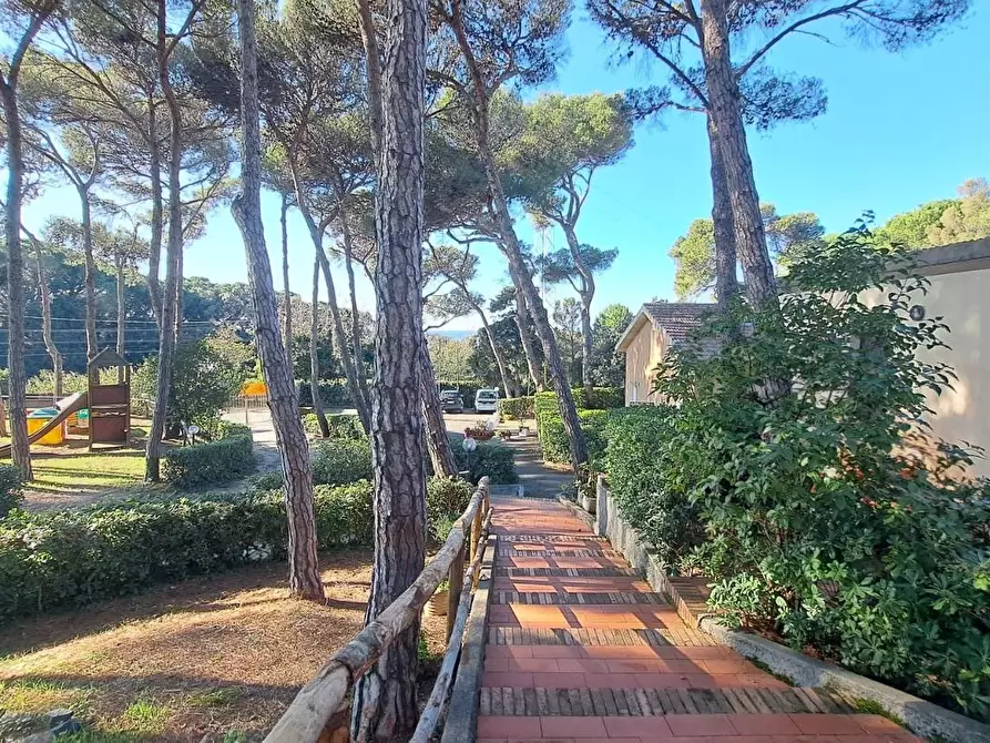 Immagine 17 di Appartamento in vendita  a Rosignano Marittimo