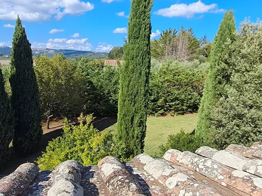 Immagine 27 di Casa colonica in vendita  a Volterra