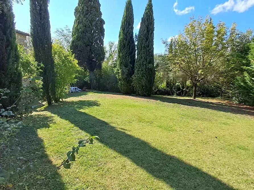 Immagine 32 di Casa colonica in vendita  a Volterra