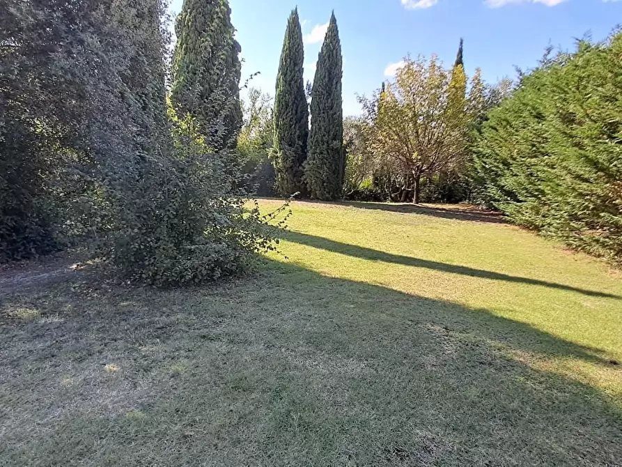 Immagine 29 di Casa colonica in vendita  a Volterra