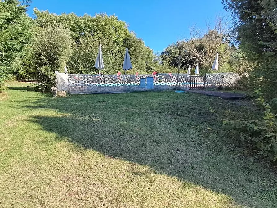 Immagine 42 di Casa colonica in vendita  a Volterra