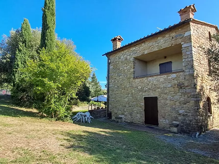 Immagine 4 di Casa colonica in vendita  a Volterra
