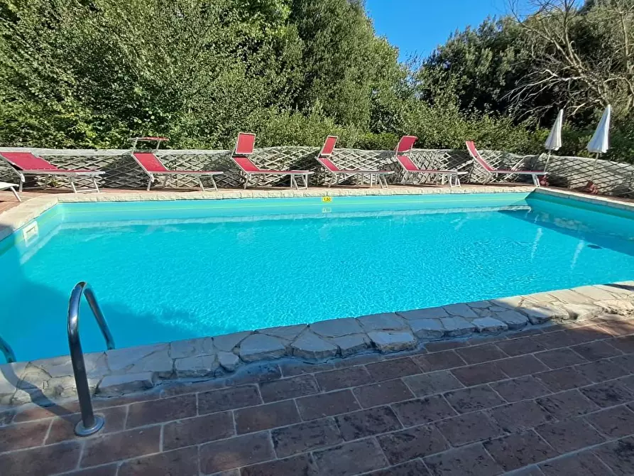 Immagine 34 di Casa colonica in vendita  a Volterra