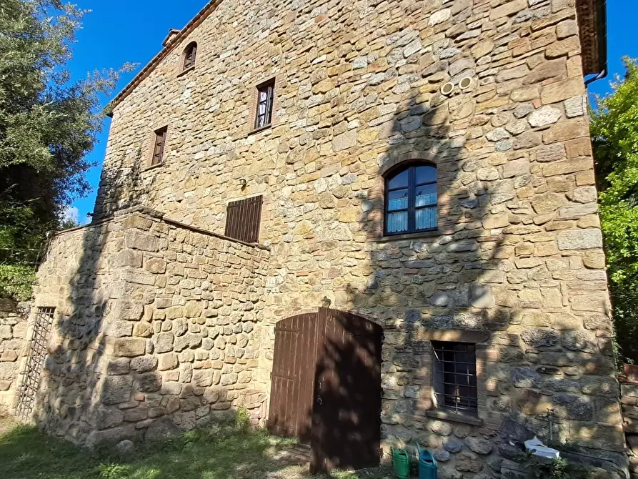Immagine 35 di Casa colonica in vendita  a Volterra