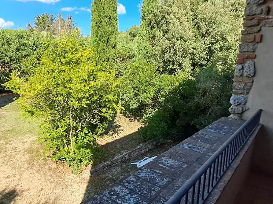Immagine 21 di Casa colonica in vendita  a Volterra