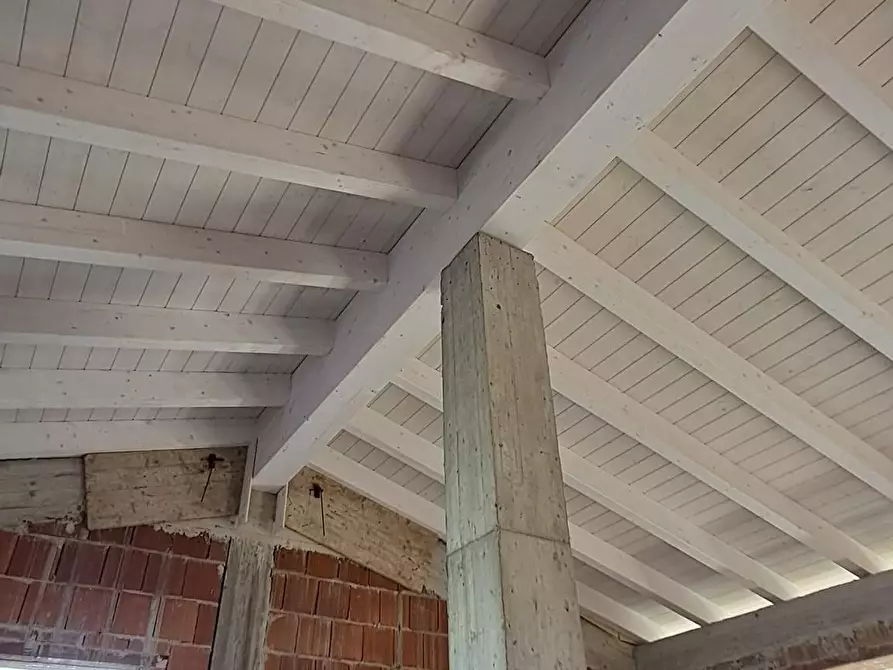 Immagine 2 di Casa indipendente in vendita  a Bibbona