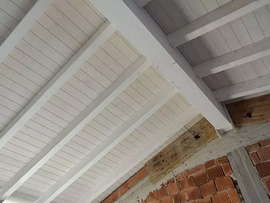 Immagine 4 di Casa indipendente in vendita  a Bibbona