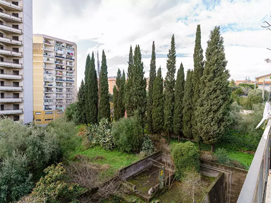 Immagine 24 di Appartamento in vendita  a Catania